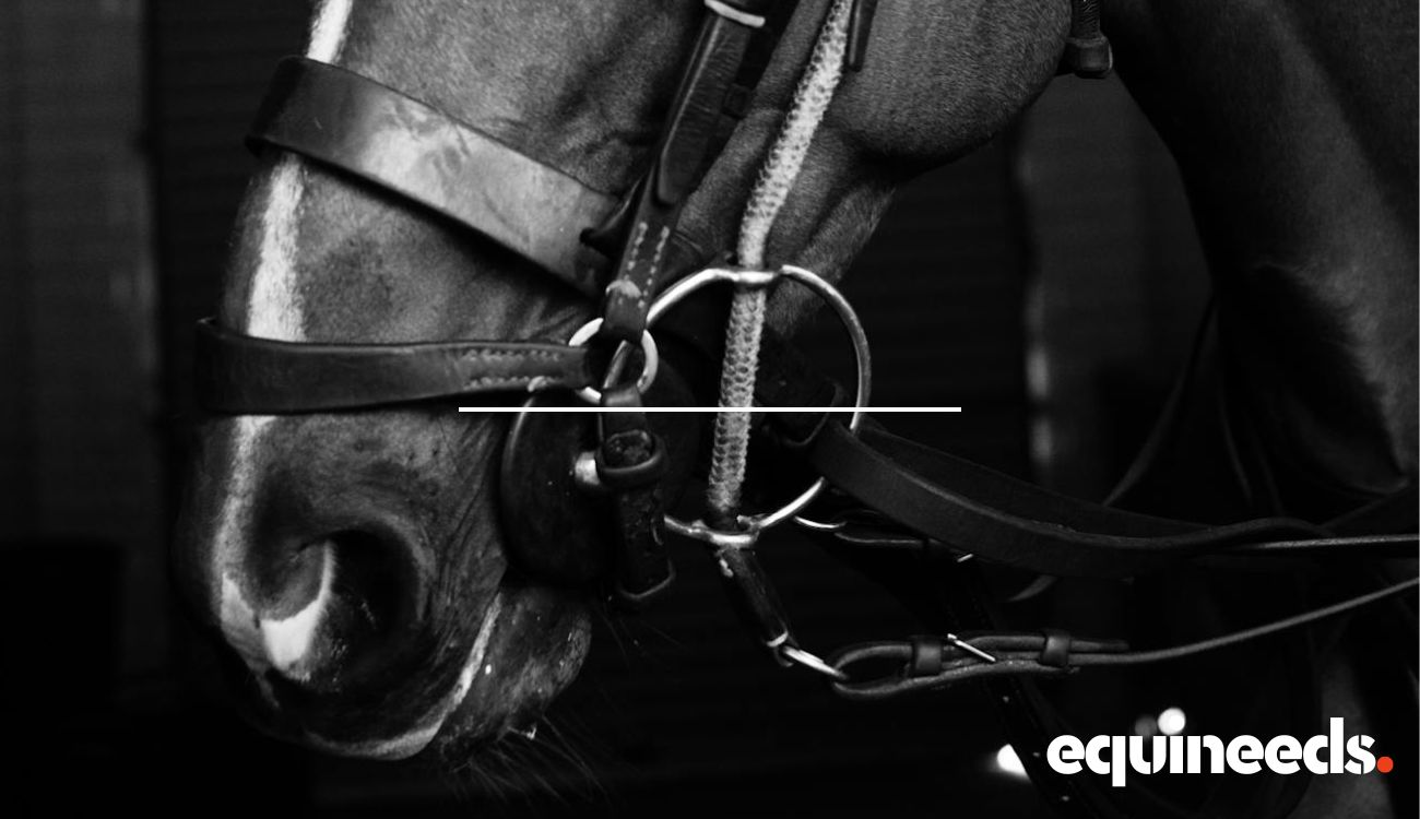 equineeds-horse-bits