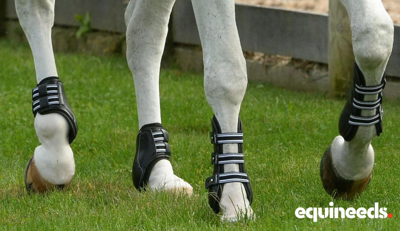 Splint Boots for Horse Protection