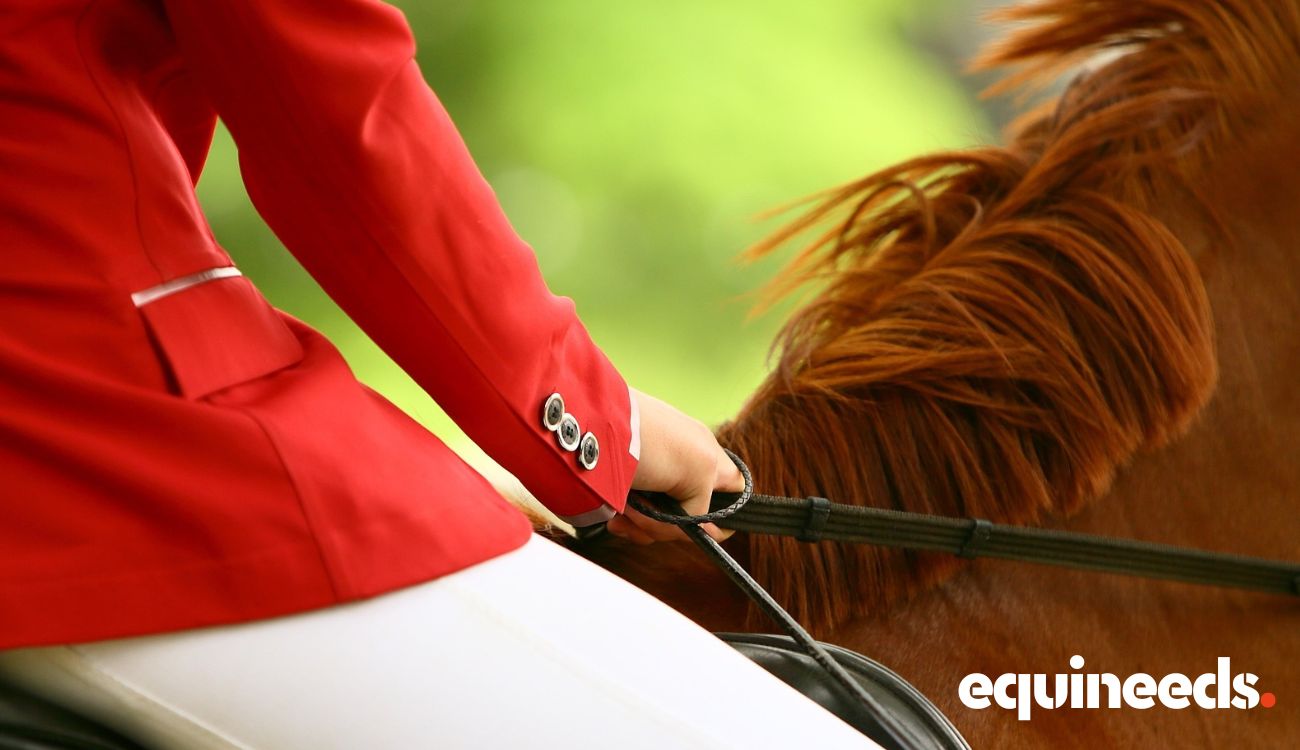 equineeds-riding-breeches
