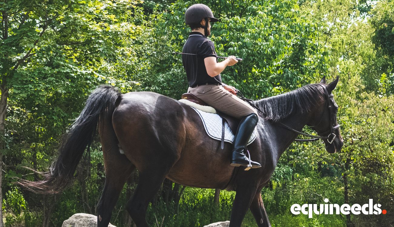 equineeds-riding-equipment